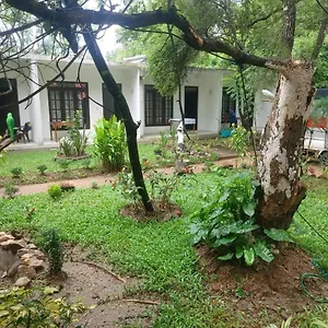 https://nature-bird-paradise-sigiriya.kandyhotelsnow.com